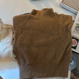 Brown Aritzia Sweater Vest